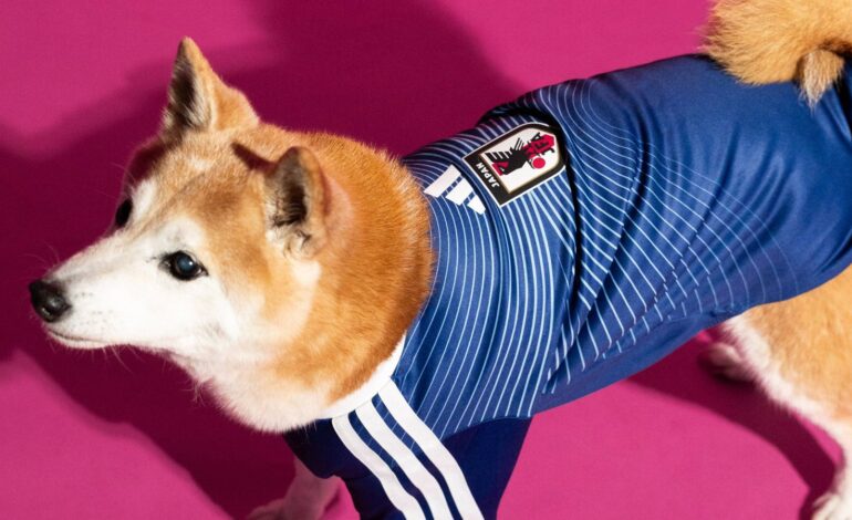  Adidas saca camisetas del Mundial 2026 para mascotas